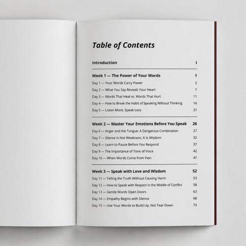 Stay Silent 30-Day Challenge Book
